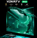 Boîtier TV Android YOKATV IPx3 4K UHD avec streaming